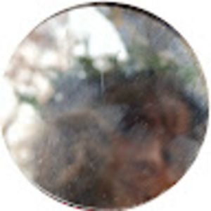 Meet your Posher, Dandelion